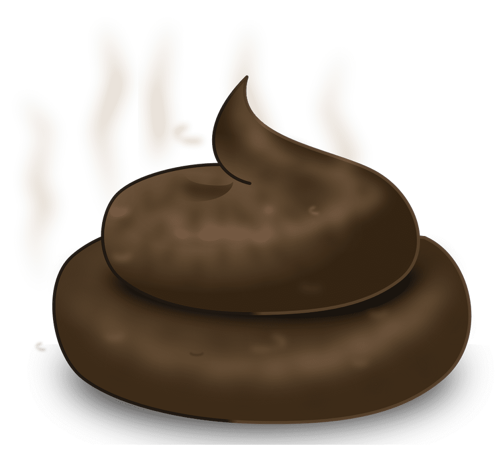 poop, bowel movement, crap-311256.jpg