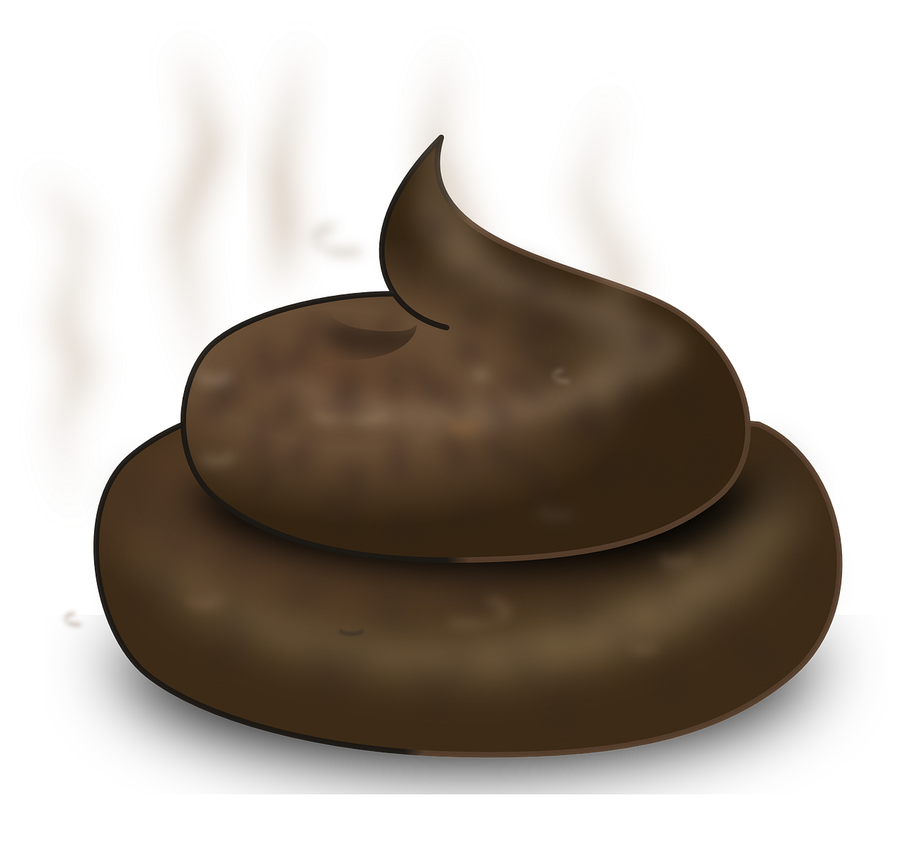 poop, bowel movement, crap-311256.jpg
