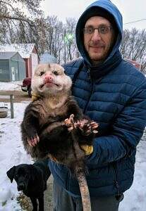 Possum2.jpg
