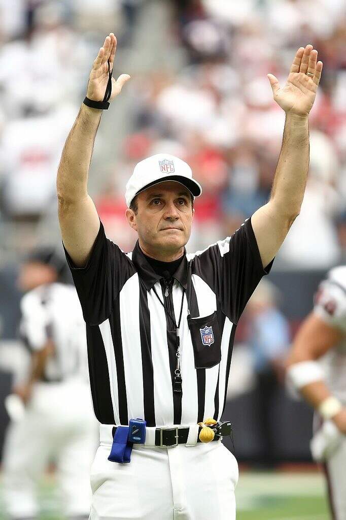 referee, professional football, touchdown-1544532.jpg