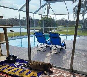 A good morning today.jpg