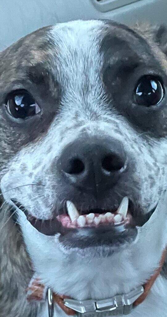 Screenshot 2022-02-01 at 3.55.05 PM.jpeg