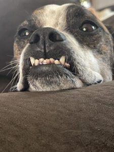 IMG_3356