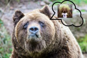 Kodiak-Jobu-1719338800.7786-300x200