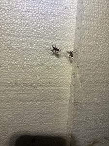 20250130_171442000_iOS