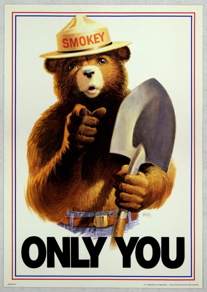 Uncle_Sam_style_Smokey_Bear_Only_You