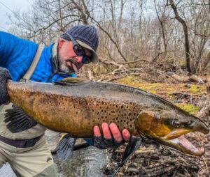 001-brown-trout