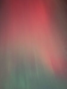 IMG_4493