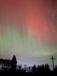 IMG_4497