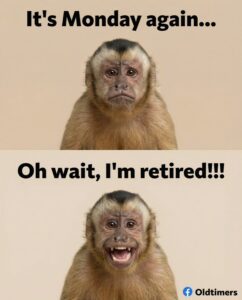 001-retired